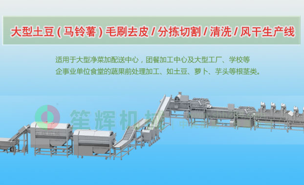 延川连续式土豆去皮清洗切割风干生产线